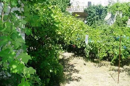 בית נופש Beach House Vrnik קורצולה